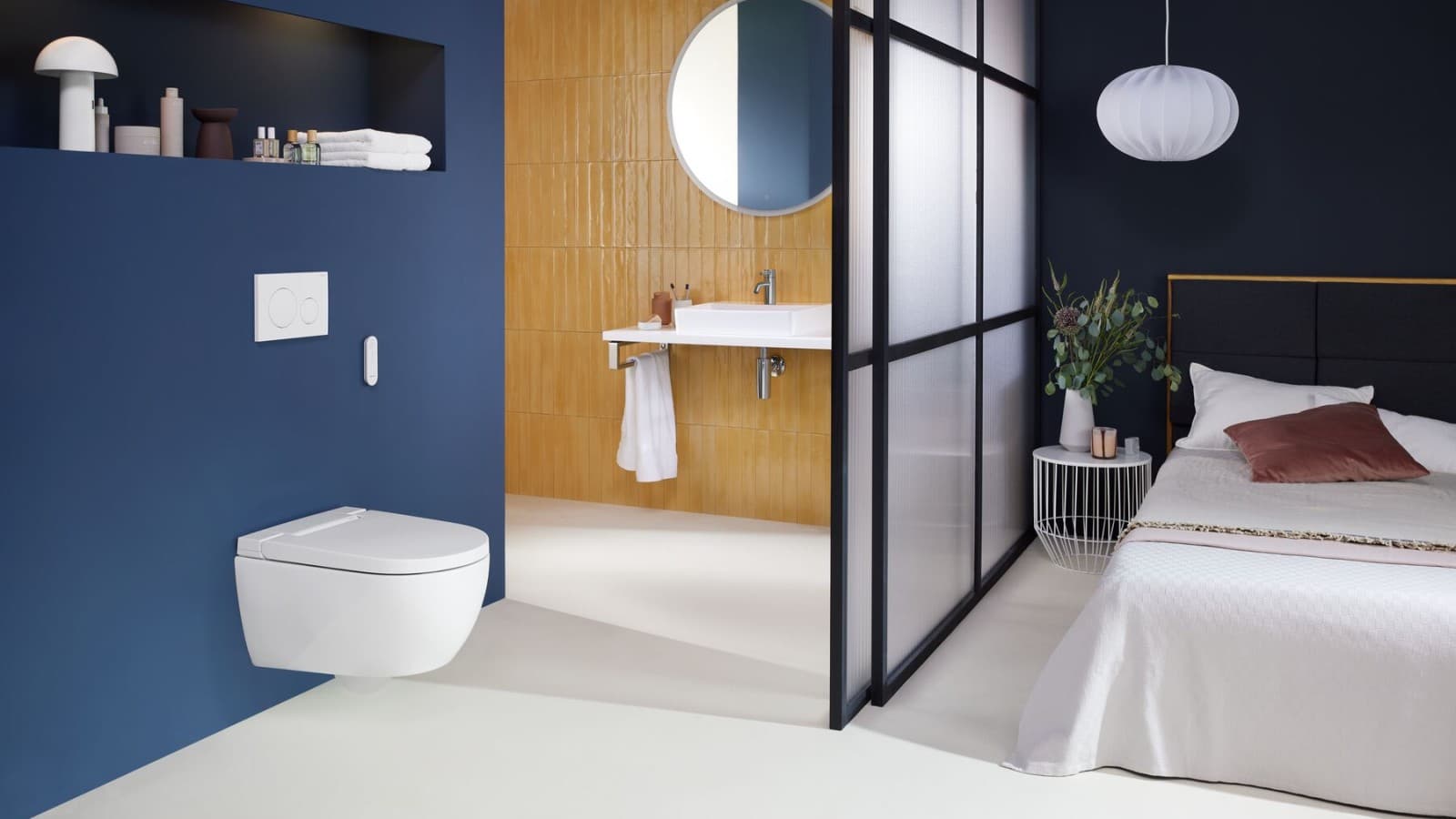 WC Geberit AquaClean Alba et Sigma20 WC Geberit AquaClean Alba et Sigma20