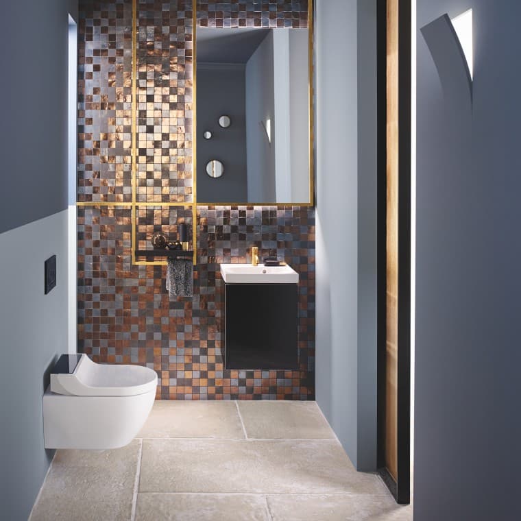 WC lavant Geberit AquaClean Tuma Comfort dans une salle de bains Geberit Acanto WC lavant Geberit AquaClean Tuma Comfort dans une salle de bains Geberit Acanto