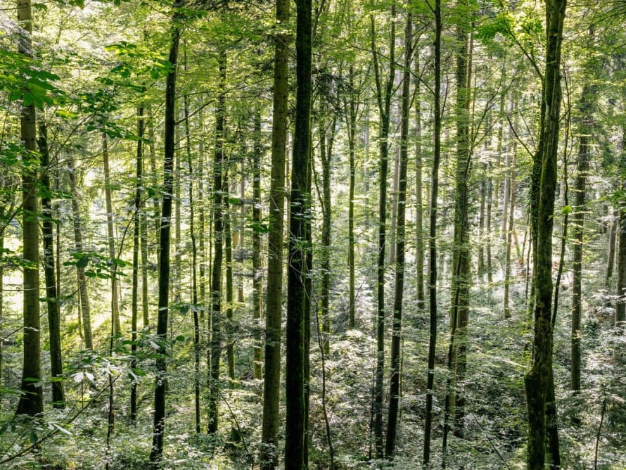 Durabilité : comment bien choisir ses toilettes ? Durabilité : comment bien choisir ses toilettes ?