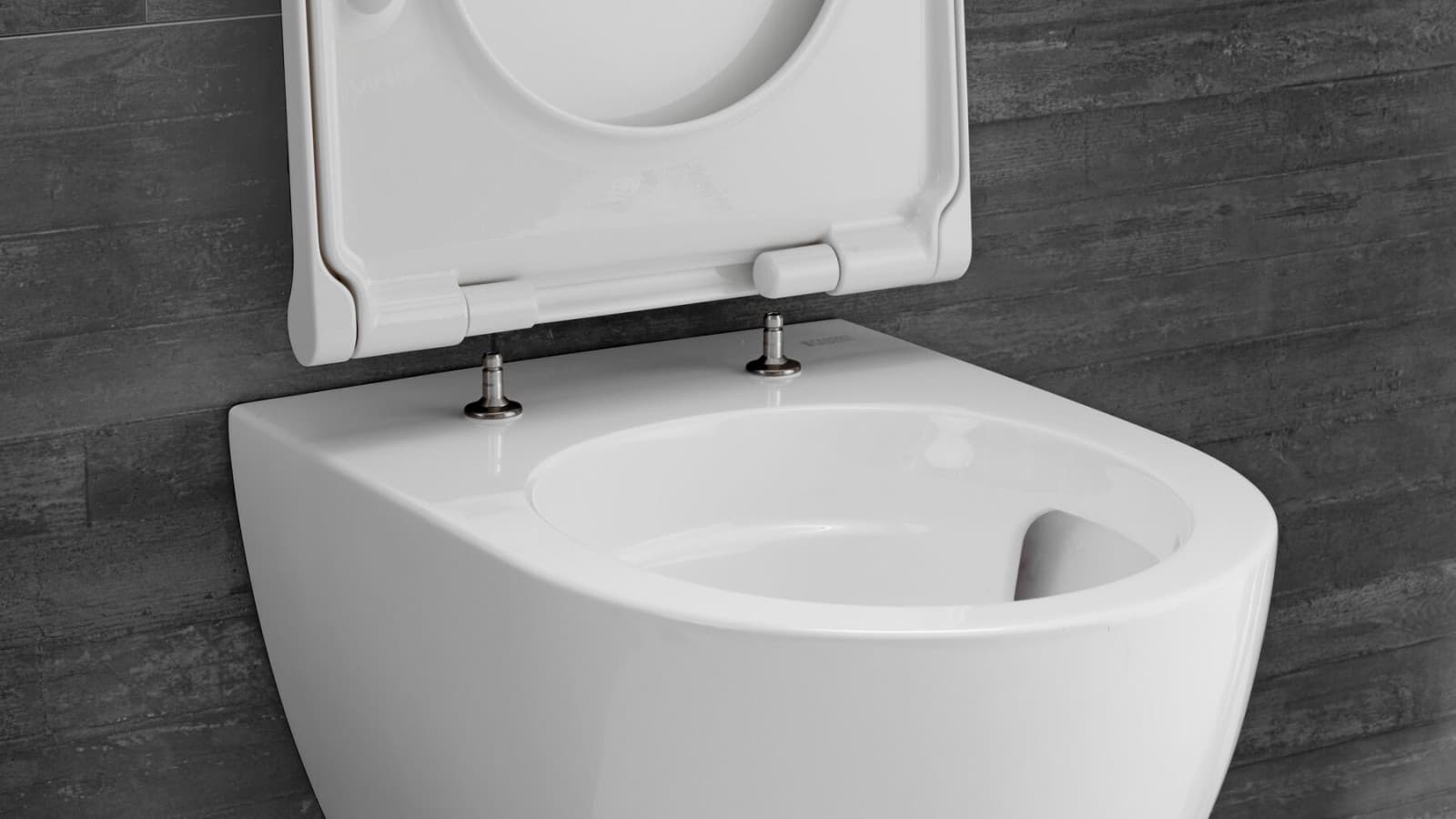 Geberit WC Acanto à déclenchement rapide Geberit WC Acanto à déclenchement rapide